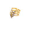 ring2